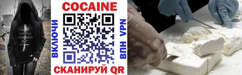 Купить где  Кирово-Чепецк  COCAIN Fish Scale 