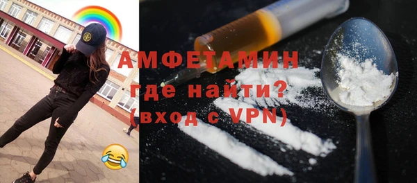 ПСИЛОЦИБИНОВЫЕ ГРИБЫ Строитель