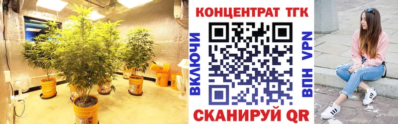 Купить  Кирово-Чепецк  ТГК концентрат 